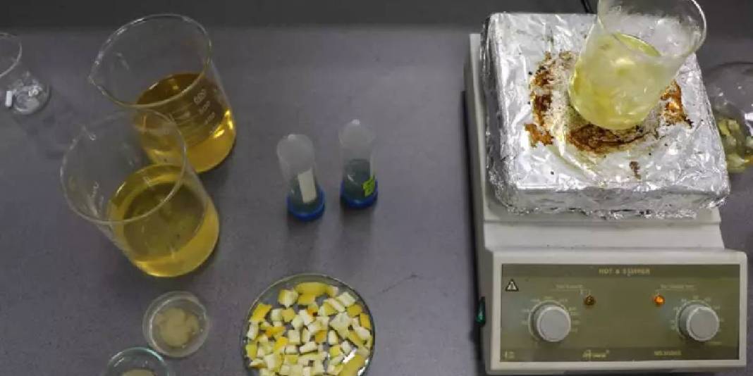 Doğal atıktan süper emici malzeme: Ağaç kavunu kabukları hidrojele dönüştü 3